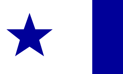 File:Flag of the Longhorn Governorate.png