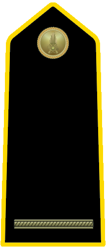 File:2nd Lieutenant.png