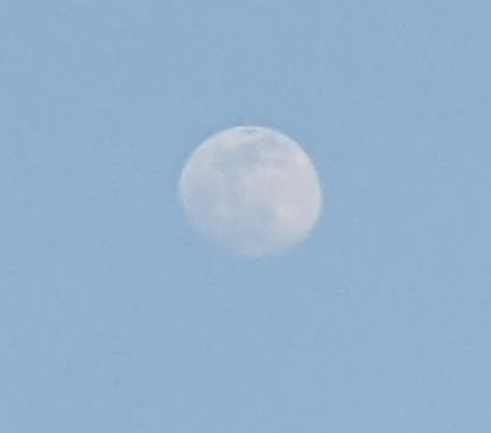 File:The moon during daytime in New Pecos.png