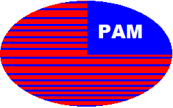 File:Pambia Football Logo.png