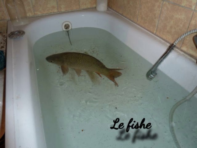 File:Le Fishe.jpg