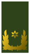 File:Landmacht-brigade general.png