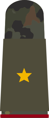 File:Atovia Field OF-6 Brigadier General.png