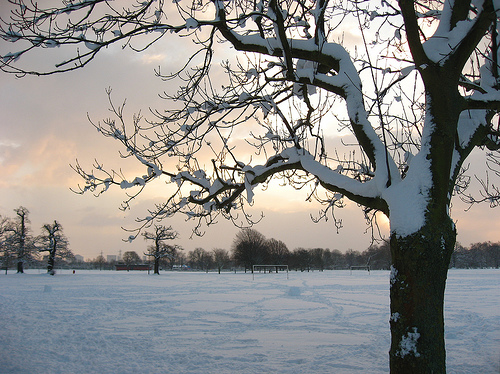 File:Beddingtonparksnow.jpg