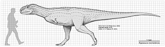File:Rajasaurus scale diagram.jpg