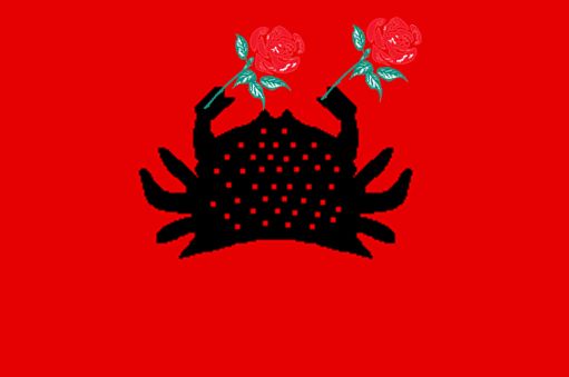 File:Flag of Douala SCR.png