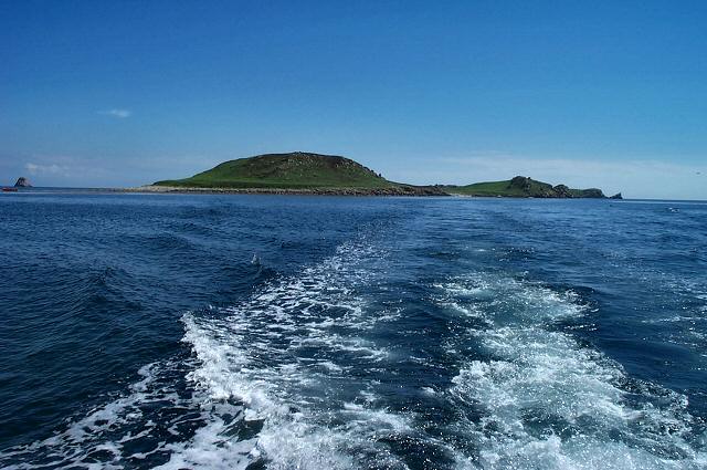 File:Great Ganilly, Scilly - geograph.org.uk - 215325.jpg