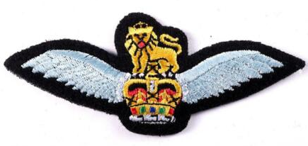 File:AAW Pilot's Patch (Wellmoore).png