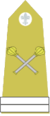 File:Marshal of Matachewan(Army).png