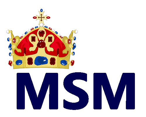 File:MSM Logo.png