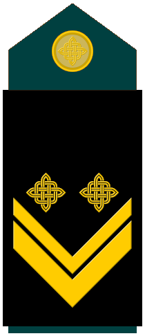 File:1st Sergeant.png