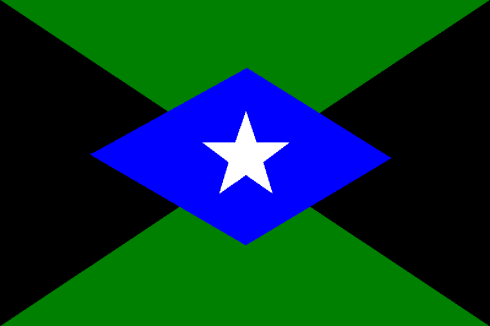 File:Larger The Royal Independent State Of The Dale Empire Flag.png
