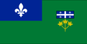Blue canton with fleur-de-lis on a green background