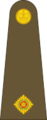 2LT Army Wellmoore.png