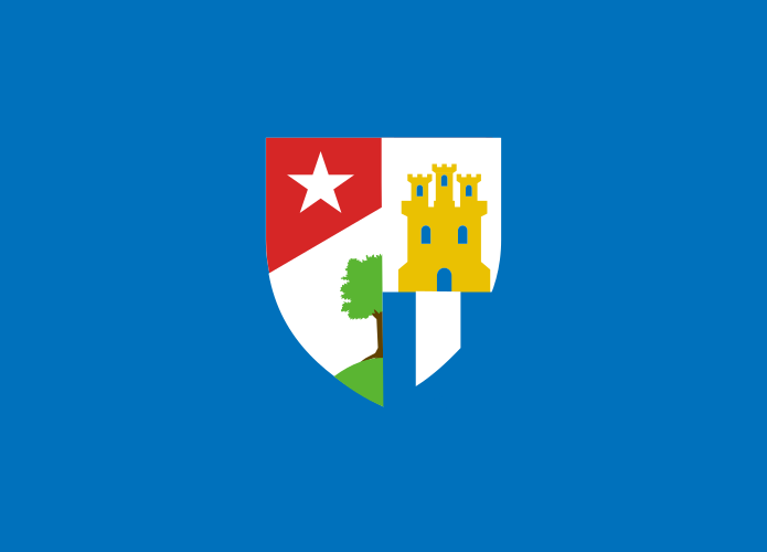 File:Flag of the City of Nuevo Holdertona.svg