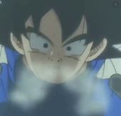 Goku KakatoanFlag.jpg