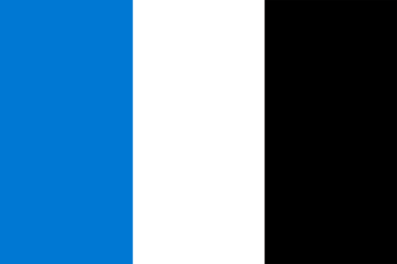File:Bandera Nacional D2020.png