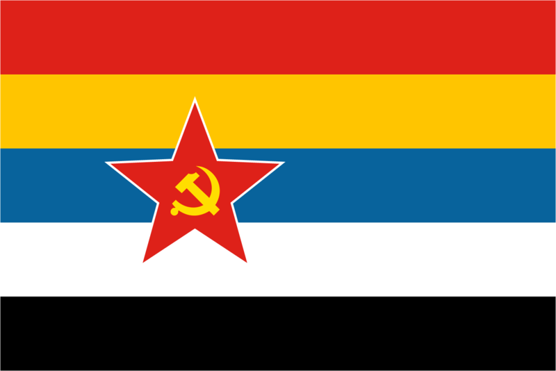 File:Taipanese revolutionary flag.png