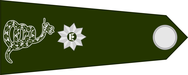 File:OF-4 (Ikonian Army) - rotated.svg