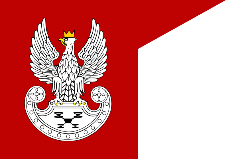 File:Standard of the Drone Corps.png