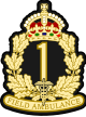 Cap badge of the 1st Field Ambulance.svg