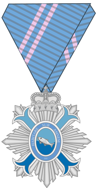 File:Medal Knight of the OML.png
