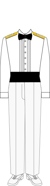 File:John I in No. 2CW dress (HRN).svg