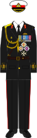  H.R.M. Captain general