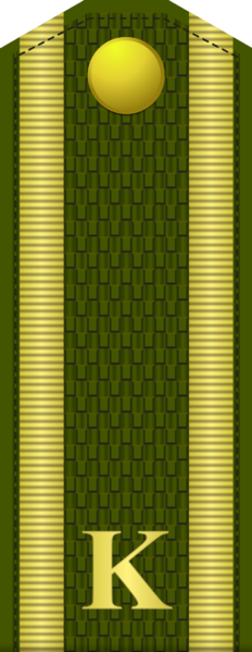 File:Army NC Distinction insignia 0.png