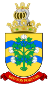 Arms of the Count of Oribrazos.svg