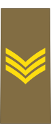 File:Baustralia Army OR-6 (old).svg