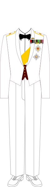 File:The 1st Duke of Wells in White Mess Dress.svg