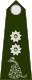 IKO-ARM-OF-5.svg