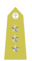 Matachewanian Kapitan(Army).png