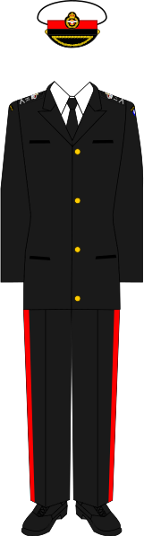 File:Uniform of a Captain general.svg