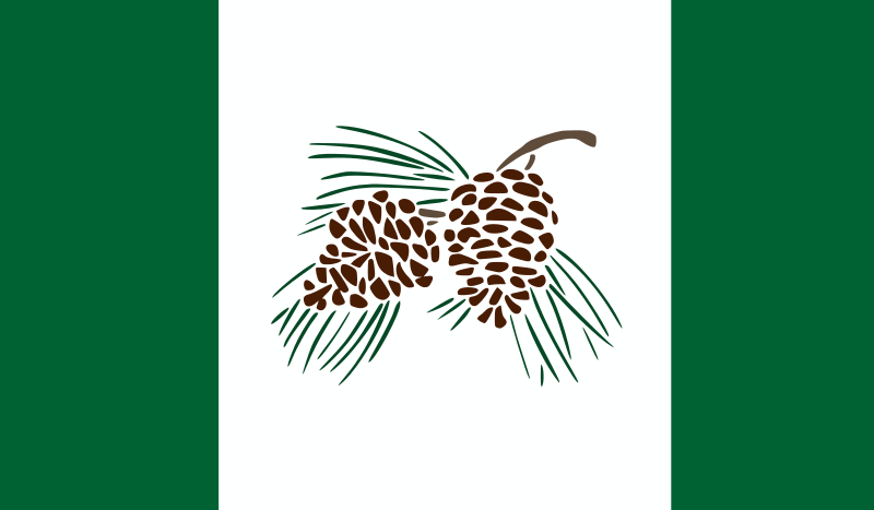 File:Flag of Pinelandia (SVG version) • Drapeau de Pinelandia (Version SVG).svg