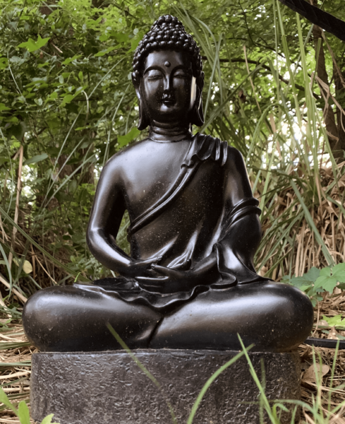 File:NS Buddha (compressed).png
