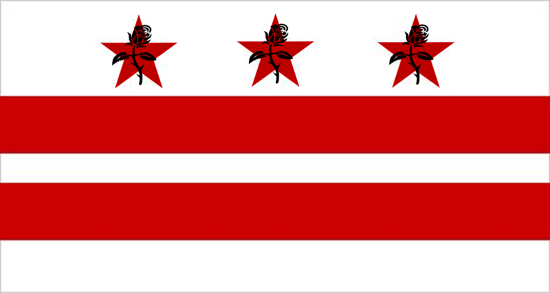 File:Flag of DC SCR.png