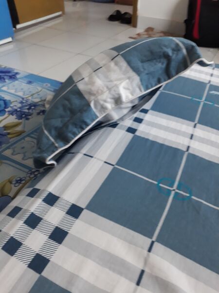 File:Goi Tan Mai the Blue pillow.jpg