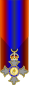 File:Medal of the Order of the Baustralian Empire.svg