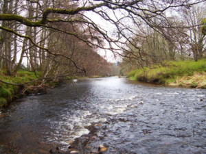 River in Francisville on the border of the Ennerau region, later contained within the canton of Wasserbrueck.