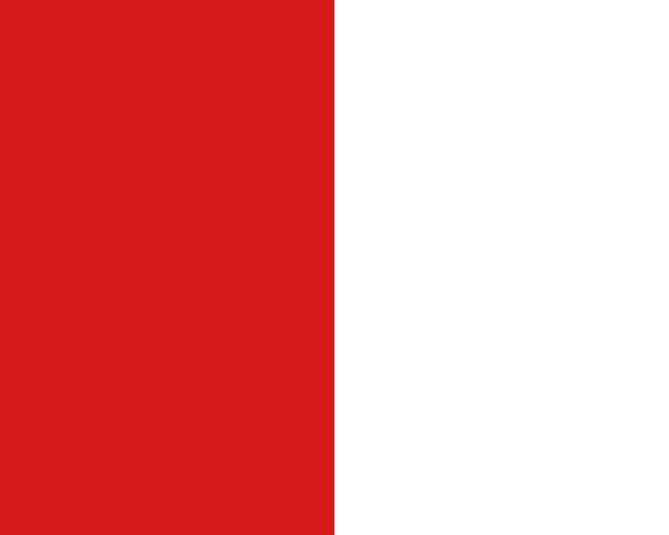 File:Flag of Artaghe.png