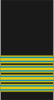NAC-Army-Col-Sleeve.png