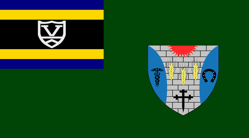 File:Cuza Flag.png