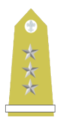 Matachewanian General Brygady(Army).png