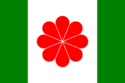 Flag of Sinorea