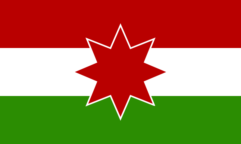 File:Flag of the Snagovian Hungarian minority.svg