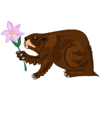 Manitoba Beaver