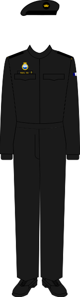 File:Harrison Pickles in Naval Combat Dress.svg