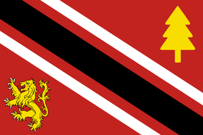 File:Updated NSOM Flag.png